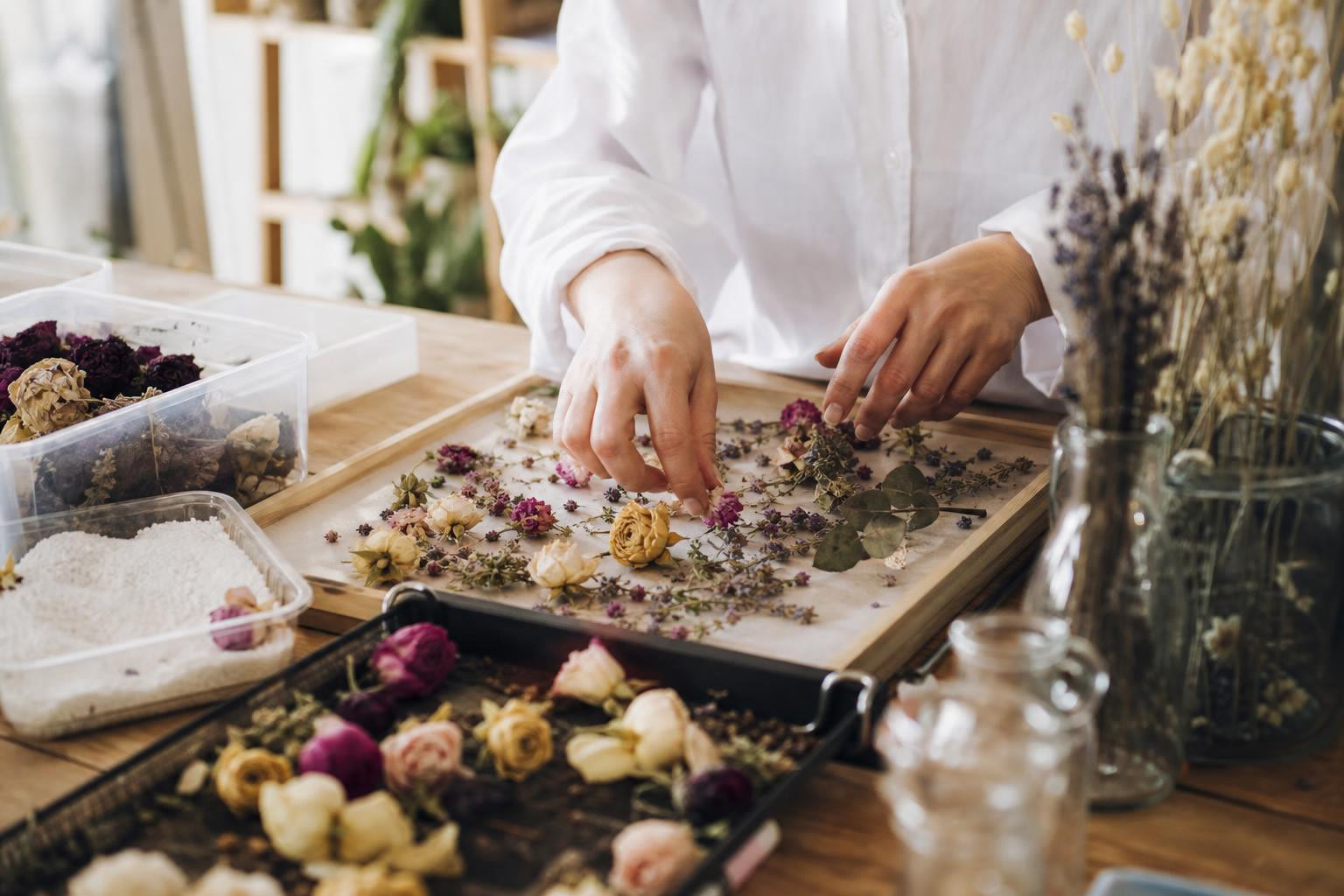 Flower Preservation FAQs 2026: Glossary, Methods & Care