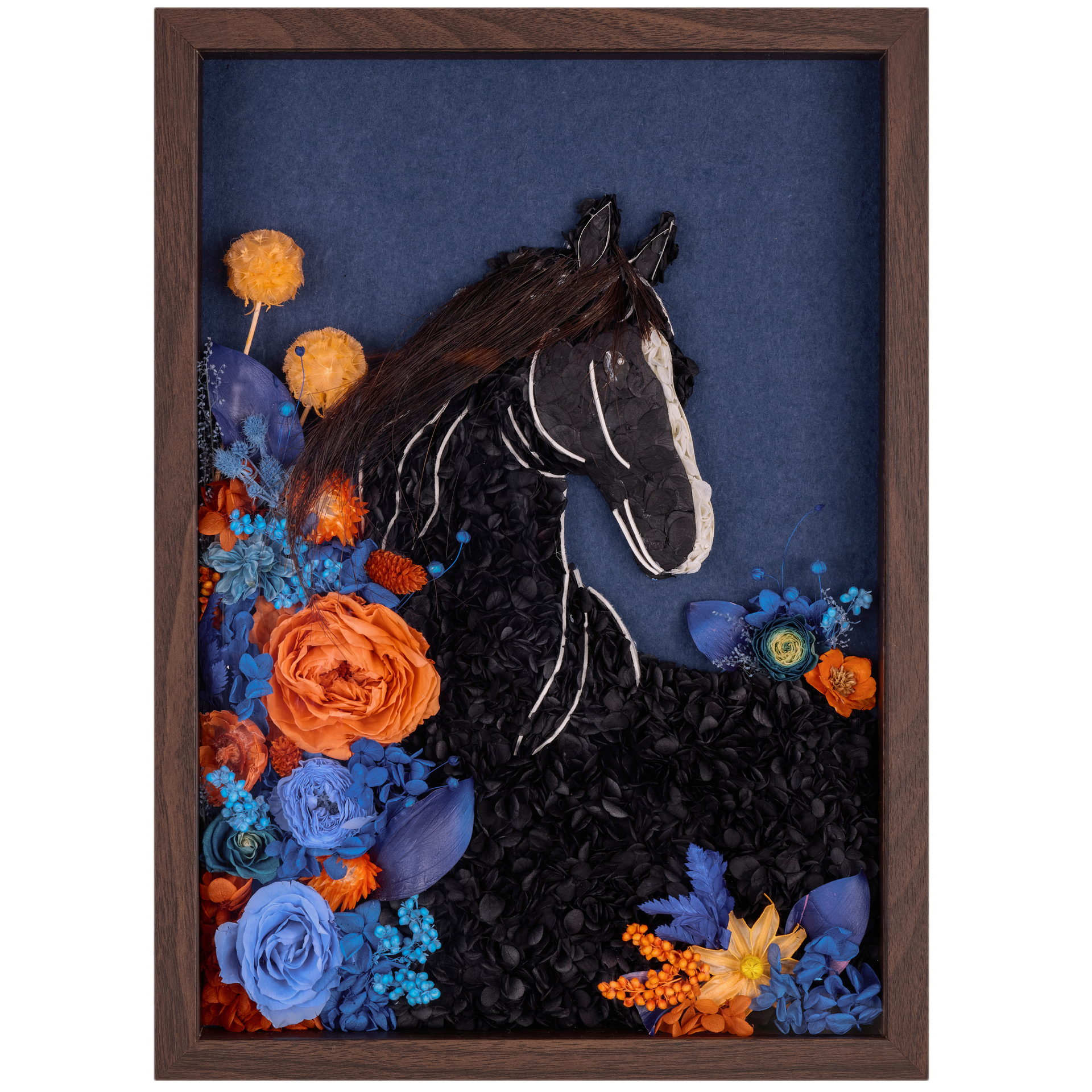 Black Horse